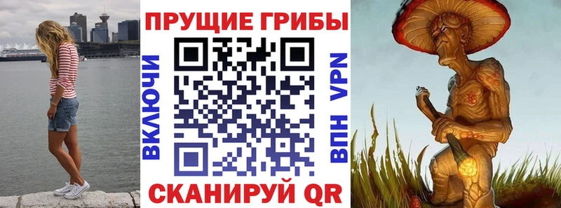 Псилоцибиновые грибы мухоморы  Купить  Кинель 