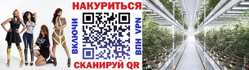 Купить где  Кинель  Канабис ГИДРОПОН 